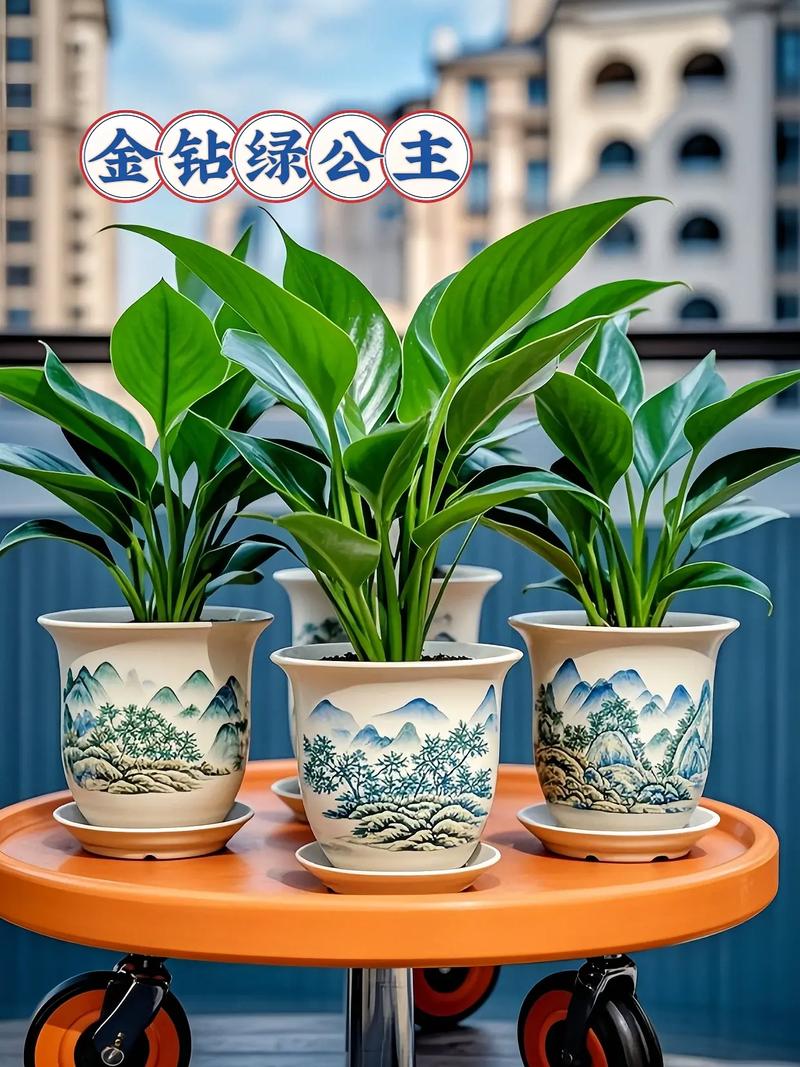 送盆栽的寓意,送盆栽的寓意和禁忌?-第5张图片-优品飞百科 送盆栽的寓意,送盆栽的寓意和禁忌?-第5张图片-优品飞百科