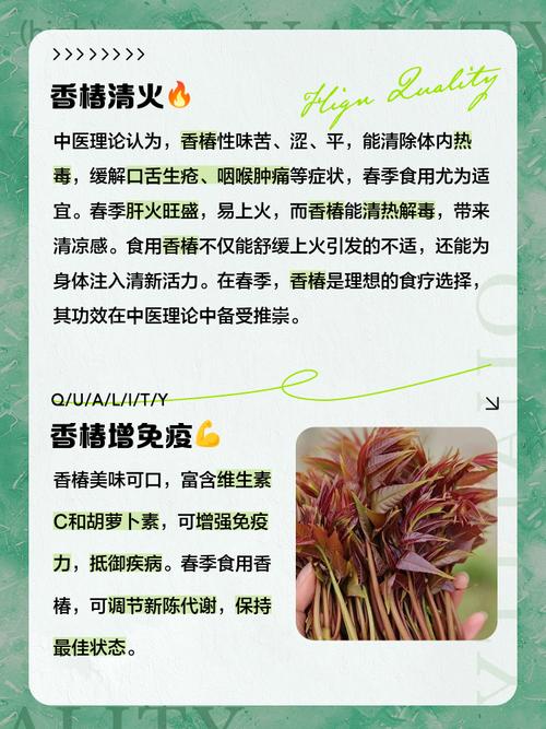 香椿的功效与作用，香椿的功效与作用及食用方法？-第4张图片-优品飞百科