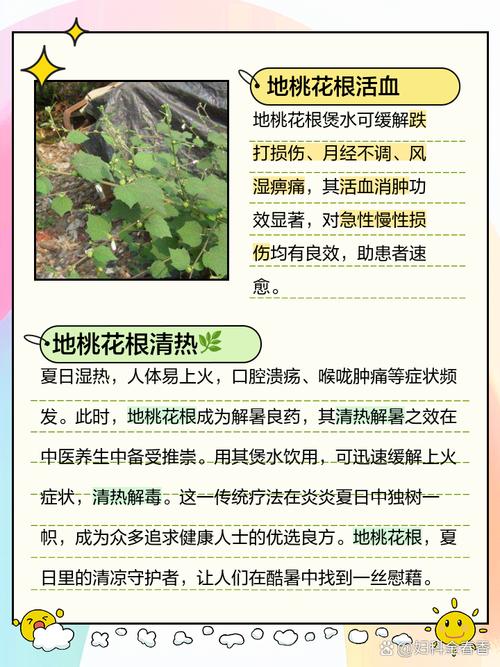 桃花可以泡水喝吗，桃花可泡茶喝吗？-第1张图片-优品飞百科
