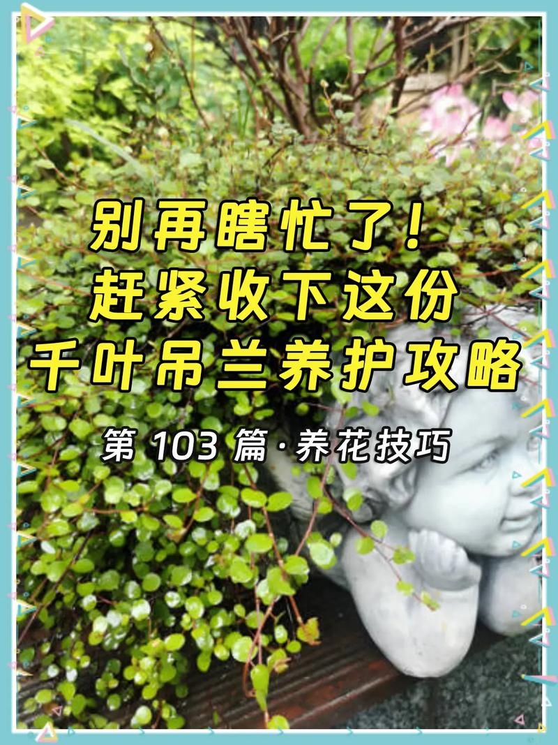 吊兰常春藤...能吸甲醛能治病，100盆都不嫌多！？常春藤吊兰几月份摘心？-第3张图片-优品飞百科