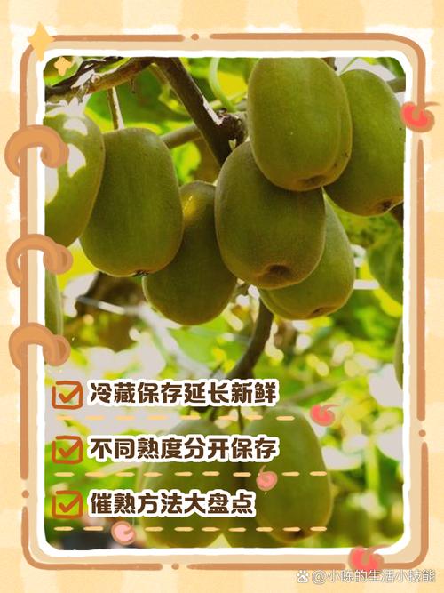 猕猴桃怎么保存，怎么催熟，猕猴桃怎么保存比较久？-第4张图片-优品飞百科