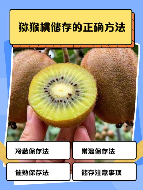 猕猴桃怎么保存，怎么催熟，猕猴桃怎么保存比较久？-第5张图片-优品飞百科
