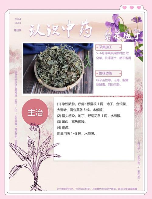 紫草的功效与作用，防风的功效与作用？-第4张图片-优品飞百科