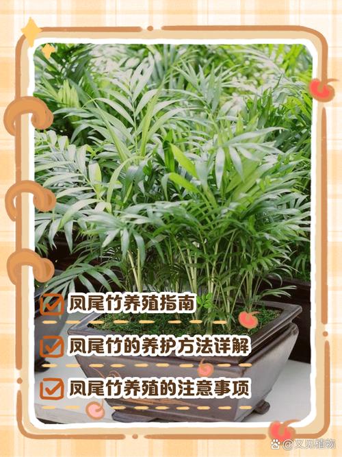 凤尾竹可以养在卧室吗,凤尾竹放卧室里有没有害健康-第3张图片-优品飞百科 凤尾竹可以养在卧室吗,凤尾竹放卧室里有没有害健康-第3张图片-优品飞百科