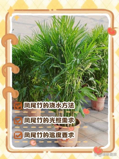 凤尾竹可以养在卧室吗,凤尾竹放卧室里有没有害健康-第5张图片-优品飞百科 凤尾竹可以养在卧室吗,凤尾竹放卧室里有没有害健康-第5张图片-优品飞百科