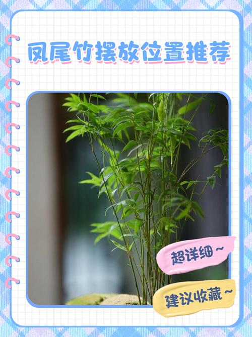 凤尾竹可以养在卧室吗,凤尾竹放卧室里有没有害健康-第8张图片-优品飞百科 凤尾竹可以养在卧室吗,凤尾竹放卧室里有没有害健康-第8张图片-优品飞百科