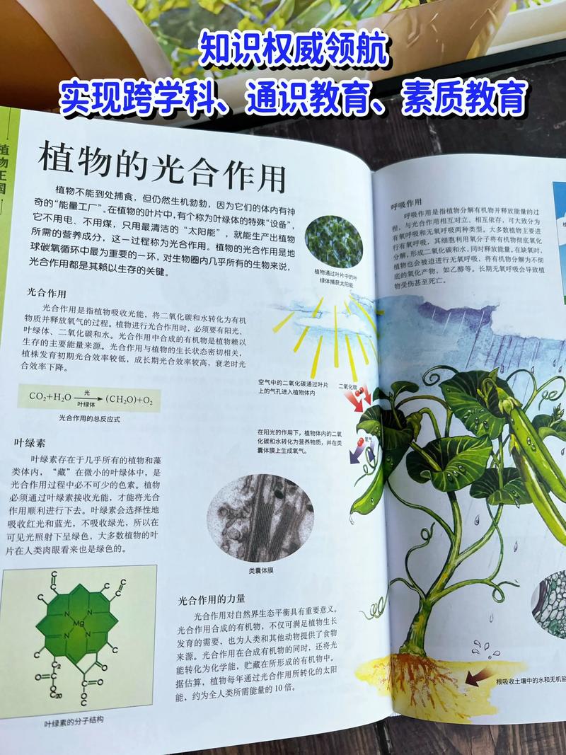 植物的百毒全书，你一定要了解，植物百子-第3张图片-优品飞百科