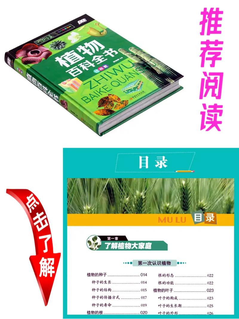 植物的百毒全书，你一定要了解，植物百子-第4张图片-优品飞百科