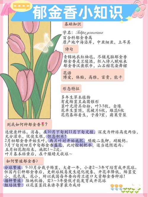 郁金香花语?白色郁金香花语?-第1张图片-优品飞百科 郁金香花语?白色郁金香花语?-第1张图片-优品飞百科