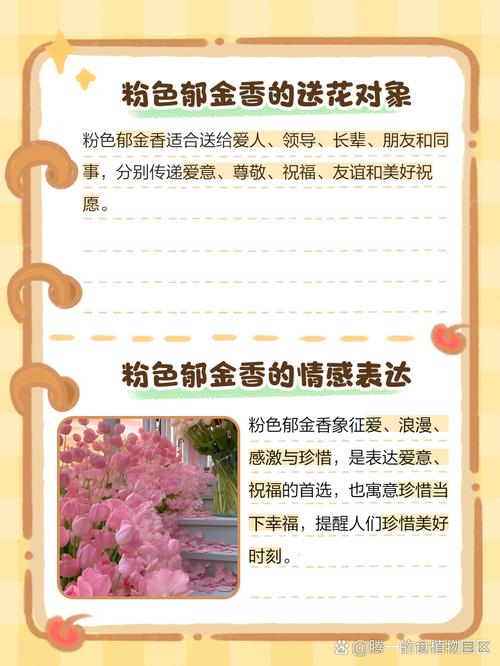 郁金香花语?白色郁金香花语?-第4张图片-优品飞百科 郁金香花语?白色郁金香花语?-第4张图片-优品飞百科