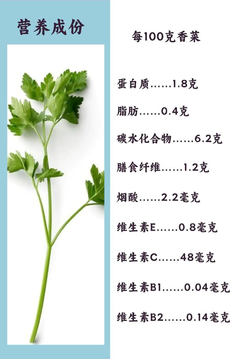 香菜的副作用，吃香菜的好处和坏处，香菜对人体有什么副作用-第2张图片-优品飞百科