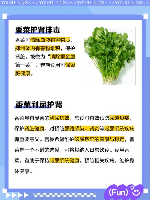 香菜的副作用，吃香菜的好处和坏处，香菜对人体有什么副作用-第6张图片-优品飞百科