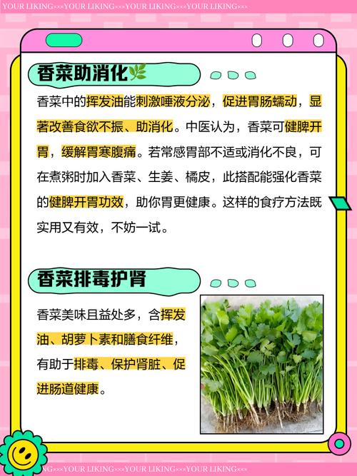 香菜的副作用，吃香菜的好处和坏处，香菜对人体有什么副作用-第7张图片-优品飞百科