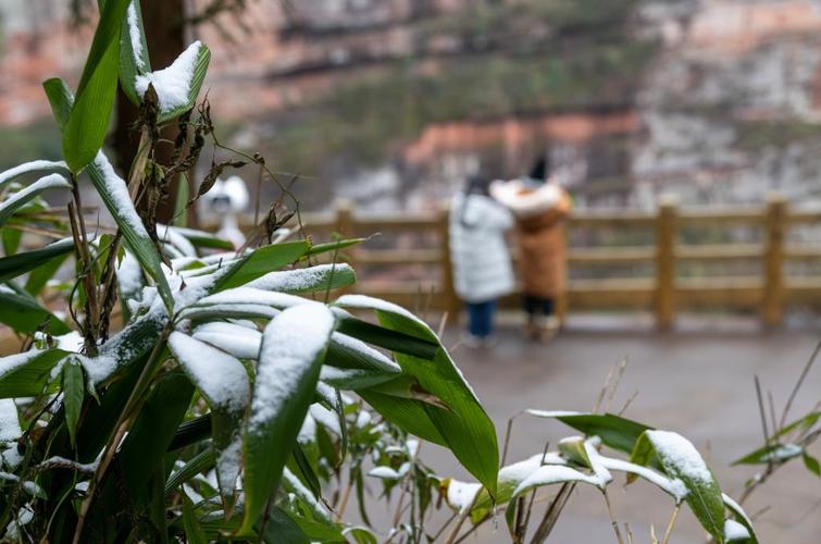 江津四面山天气预报，江津四面山天气预告-第7张图片-优品飞百科