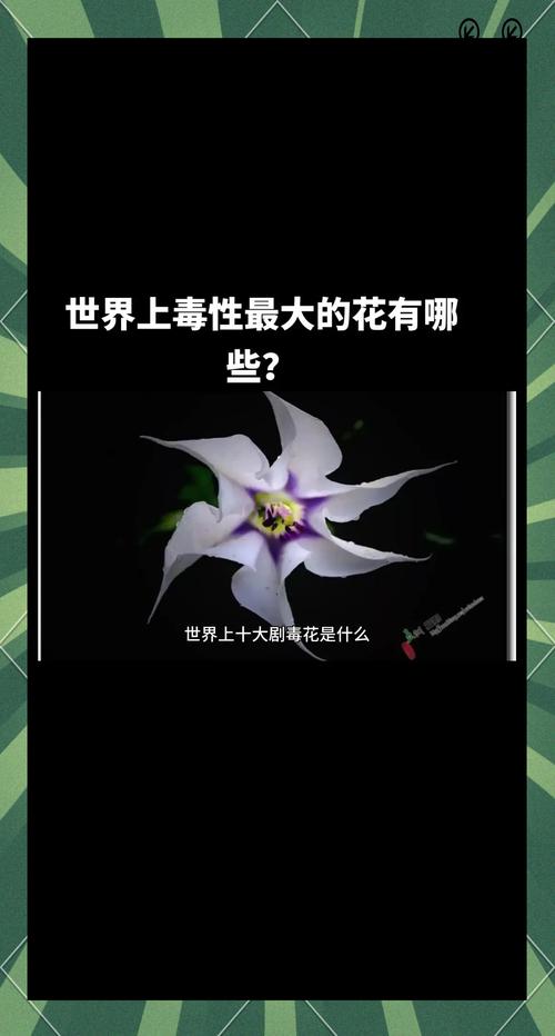 类叶升麻有毒吗，升麻叶的功效与作用-第2张图片-优品飞百科