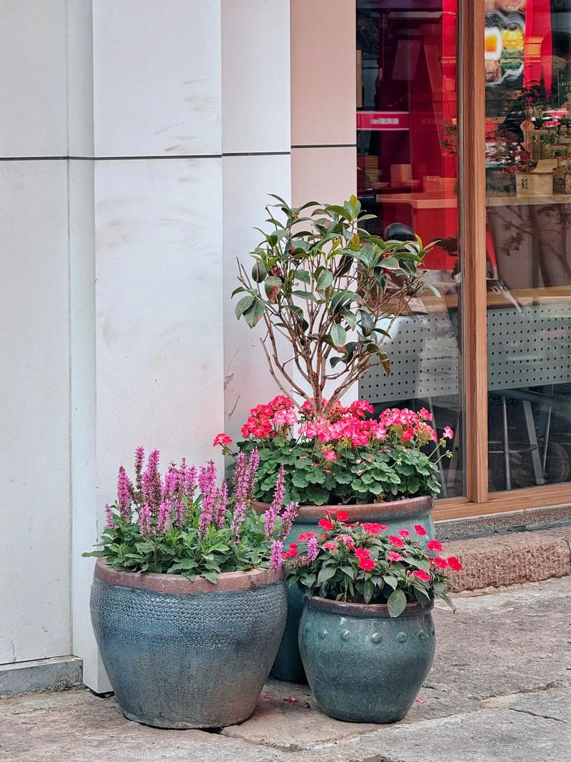 安庆适合养什么花，市花和市树是什么？安徽安庆适合种什么花？-第3张图片-优品飞百科