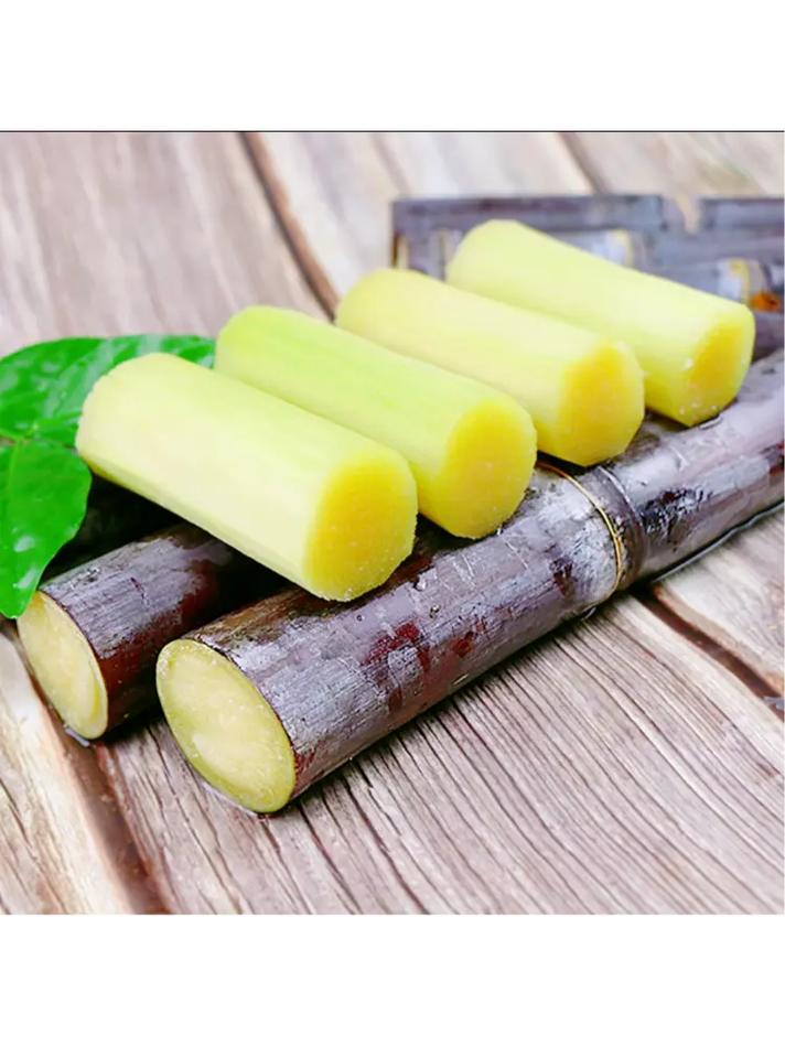 甘蔗是什么季节的，吃甘蔗会胖吗，吃甘蔗是几月份-第2张图片-优品飞百科