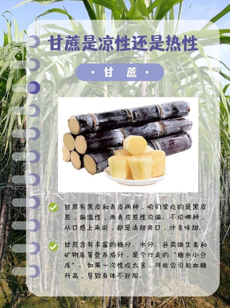 甘蔗是什么季节的，吃甘蔗会胖吗，吃甘蔗是几月份-第4张图片-优品飞百科