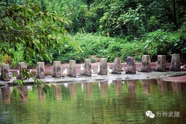 万州区天气预报，万州区天气预报24小时-第1张图片-优品飞百科