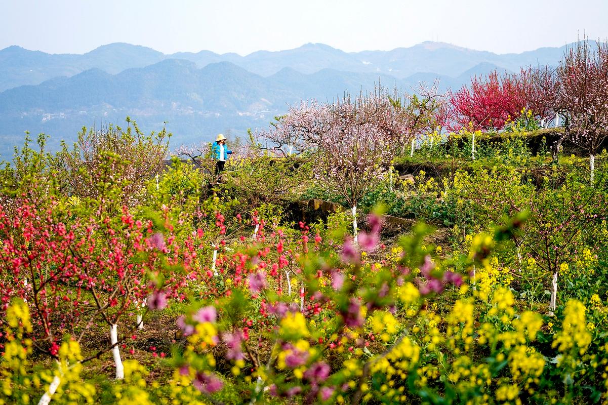 万州区天气预报，万州区天气预报24小时-第5张图片-优品飞百科