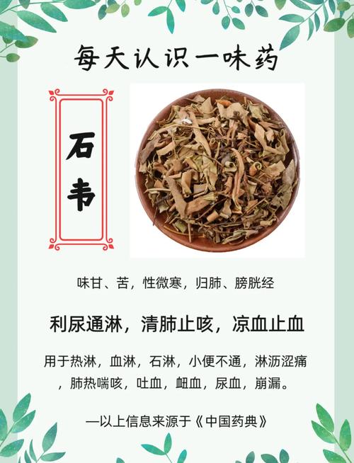 石苇的功效与作用，石韦的功效与作用图片-第2张图片-优品飞百科