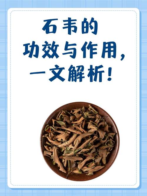 石苇的功效与作用，石韦的功效与作用图片-第6张图片-优品飞百科