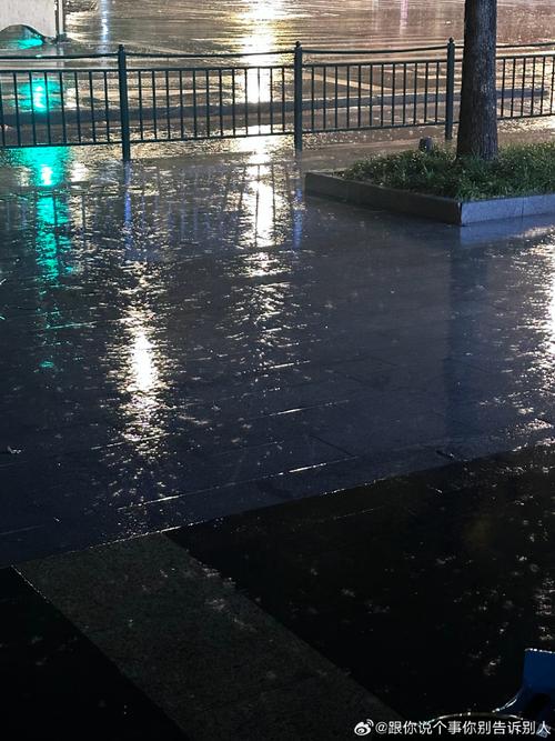 下周上海天气预报，下周上海天气预报查询一周-第2张图片-优品飞百科