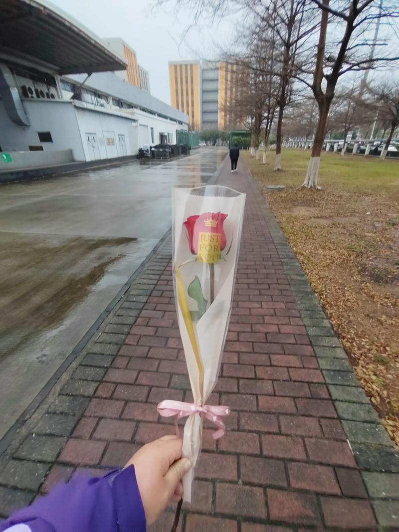 1朵玫瑰花代表的含义，一朵玫瑰花代表什么？-第1张图片-优品飞百科