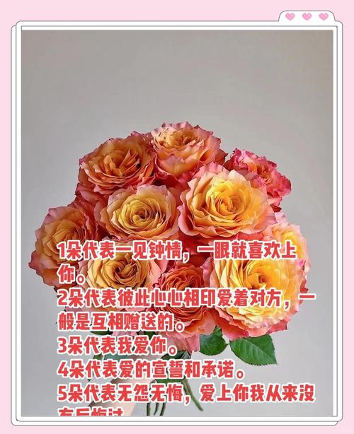 1朵玫瑰花代表的含义，一朵玫瑰花代表什么？-第2张图片-优品飞百科