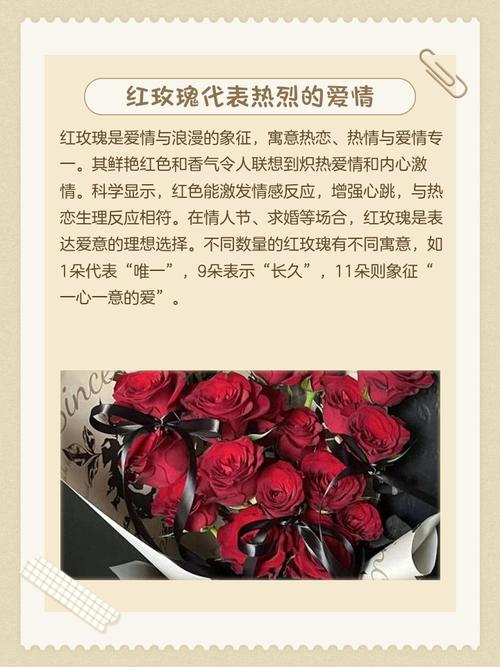 1朵玫瑰花代表的含义，一朵玫瑰花代表什么？-第5张图片-优品飞百科