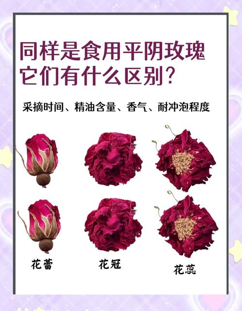 1朵玫瑰花代表的含义，一朵玫瑰花代表什么？-第6张图片-优品飞百科