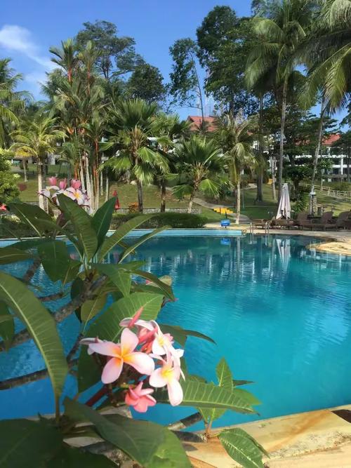 新加坡天气预报15天，新加坡1一12月气温？-第6张图片-优品飞百科