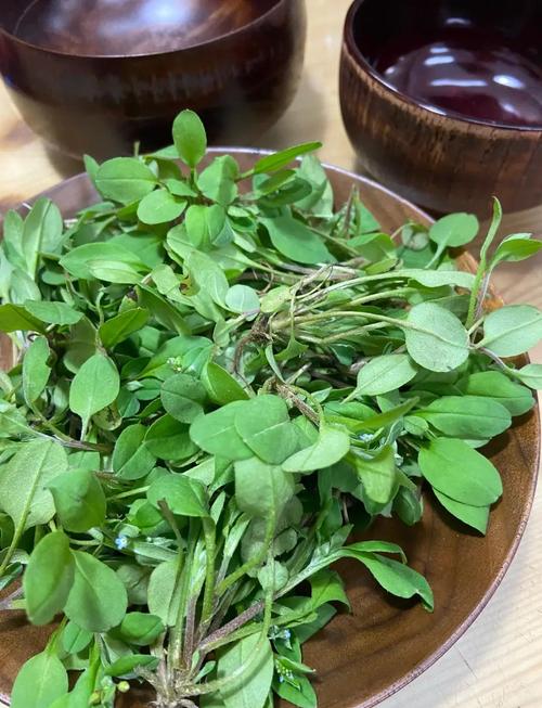 附地菜能吃吗，附地菜能吃吗,它有何功效？-第6张图片-优品飞百科