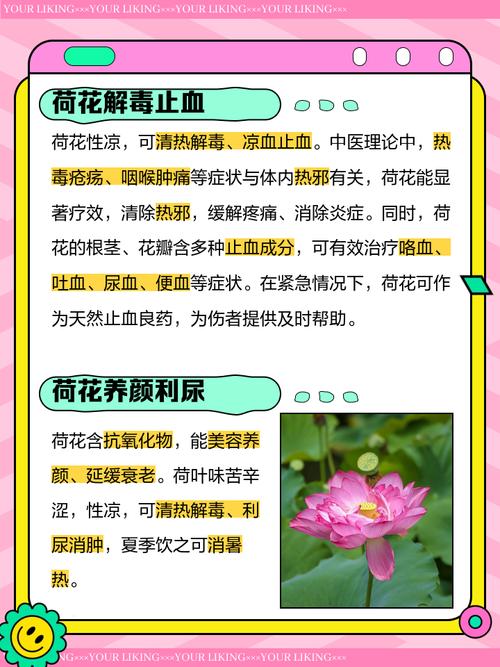 家里为什么不能养荷花，家里养荷花不吉利吗-第5张图片-优品飞百科