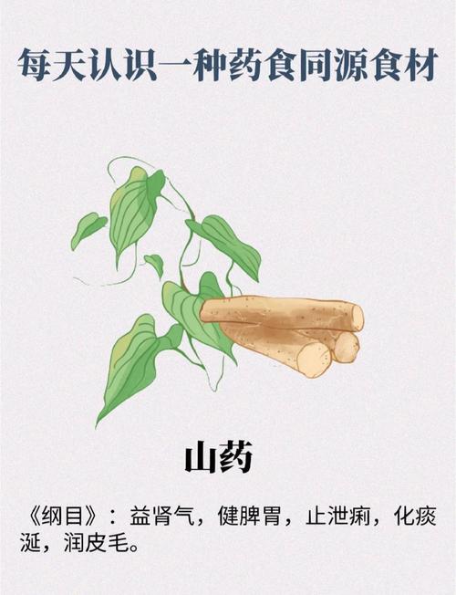 山药的功效与作用，山药的功效与作用及营养？-第6张图片-优品飞百科