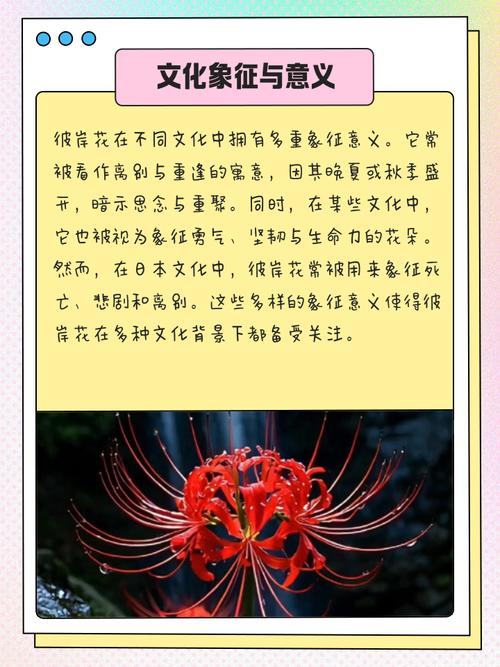 彼岸花的花语，彼岸花的传说，彼岸花的花语,彼岸花的传说是什么-第1张图片-优品飞百科