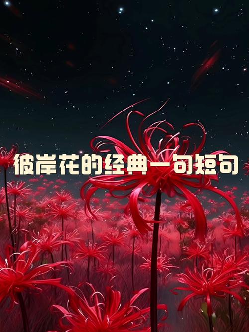 彼岸花的花语，彼岸花的传说，彼岸花的花语,彼岸花的传说是什么-第5张图片-优品飞百科