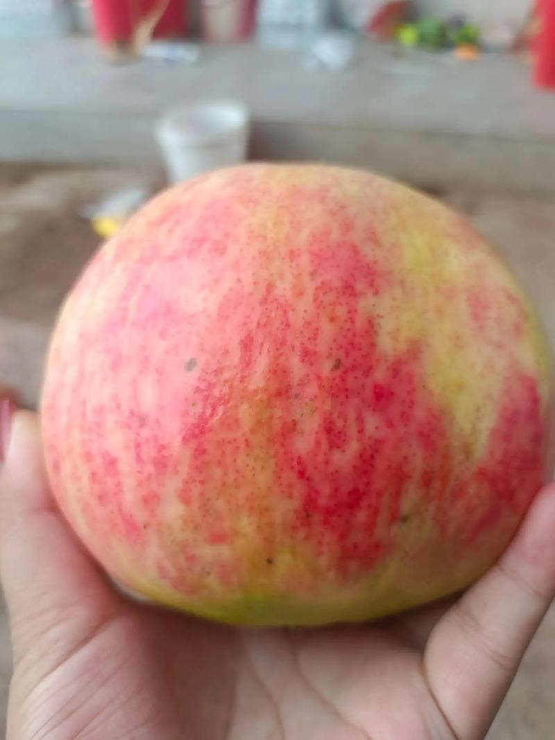 凤山县天气预报，凤山县天气预报40天查询-第2张图片-优品飞百科