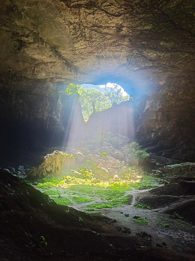 凤山县天气预报，凤山县天气预报40天查询-第4张图片-优品飞百科