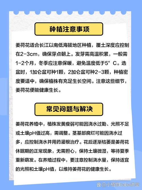 姜荷花有毒吗??姜荷花有毒吗好养吗?-第1张图片-优品飞百科 姜荷花有毒吗??姜荷花有毒吗好养吗?-第1张图片-优品飞百科