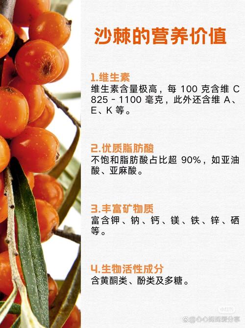 沙棘果多少钱一斤，沙棘的副作用？沙棘多少钱一斤怎么吃?？-第2张图片-优品飞百科