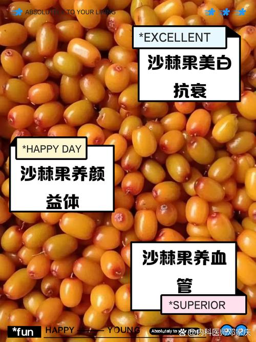 沙棘果多少钱一斤，沙棘的副作用？沙棘多少钱一斤怎么吃?？-第4张图片-优品飞百科
