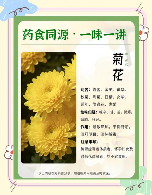 菊花茶的功效与作用，菊花茶的功效与作用泡水喝的功效-第2张图片-优品飞百科