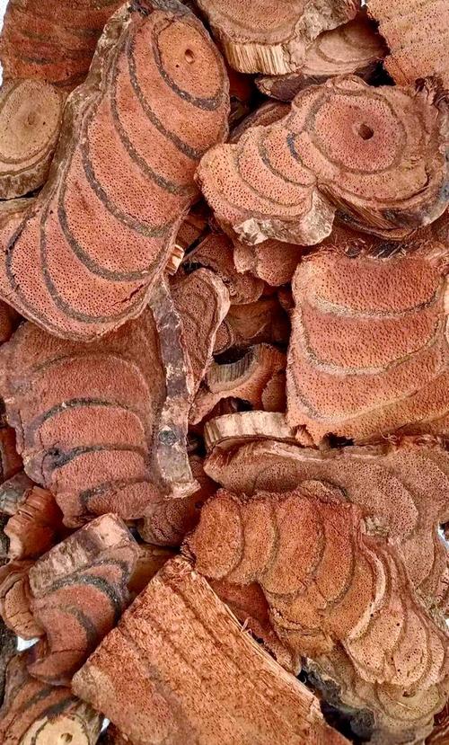 鸡血藤的花语花事，鸡血藤是什么树？-第3张图片-优品飞百科