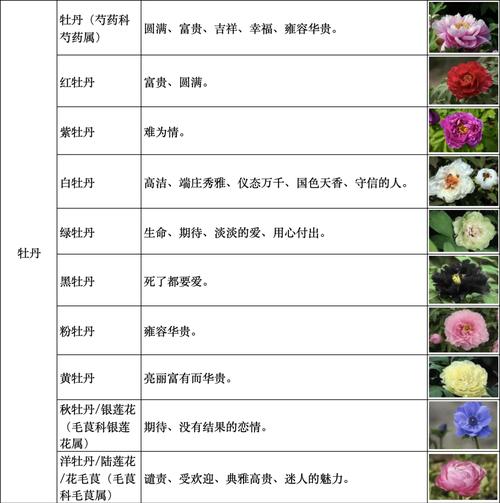 鸡血藤的花语花事，鸡血藤是什么树？-第5张图片-优品飞百科