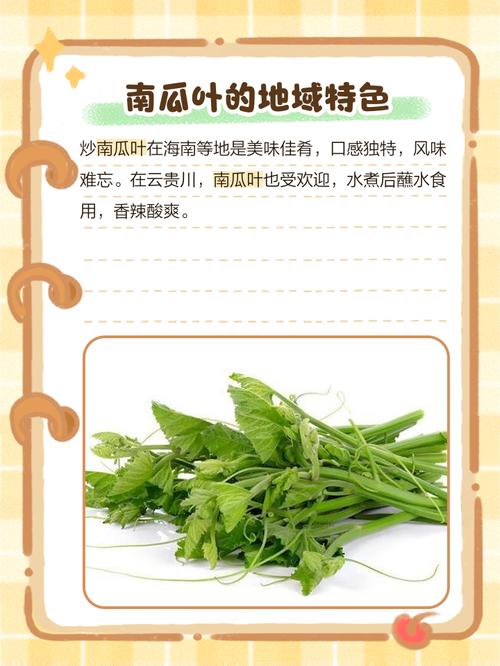 南瓜叶能吃吗，南瓜叶的功效与作用介绍？南瓜叶的药用价值和营养价值？-第5张图片-优品飞百科