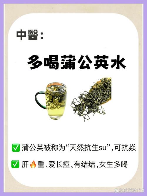 蒲公英的功效与作用（药用蒲公英），蒲公英的功效与作用禁忌与副作用有哪些-第2张图片-优品飞百科
