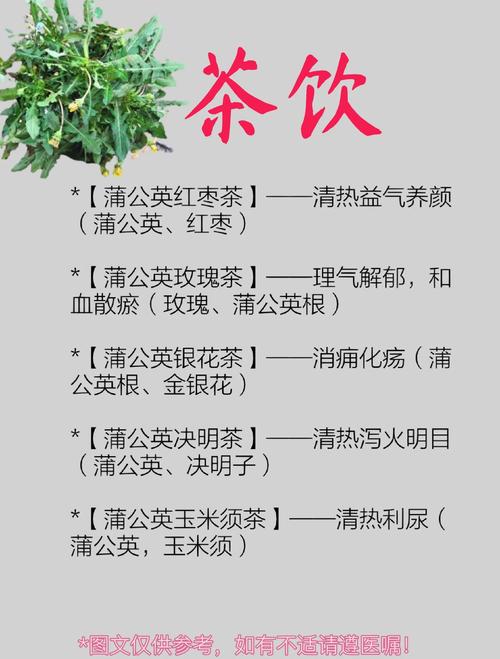 蒲公英的功效与作用（药用蒲公英），蒲公英的功效与作用禁忌与副作用有哪些-第3张图片-优品飞百科