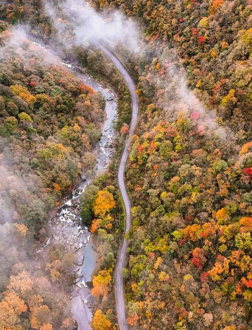 南郑县天气预报，南郑县天气预报6月份？-第4张图片-优品飞百科
