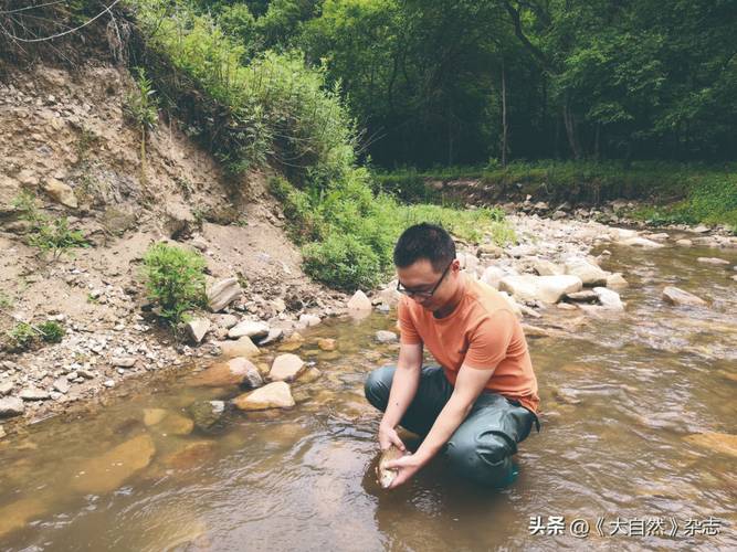 陇县天气预报，宝鸡天气预报？-第2张图片-优品飞百科
